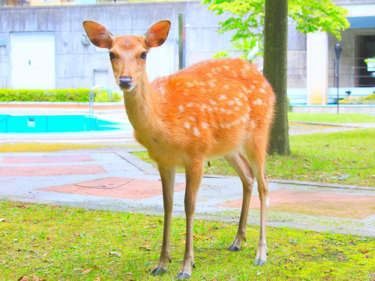 טויוקה Reyzenit Kinosaki Suite Villa מראה חיצוני תמונה